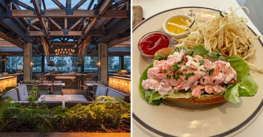 Texas Lobster Roll Spots Serving Big Flavor No Fuss - Decor Hint