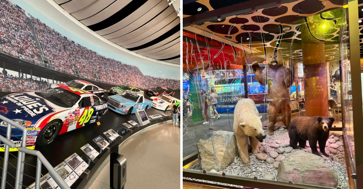 The Best Indoor Experiences In Charlotte Straight From Visitor Reviews - Decor Hint