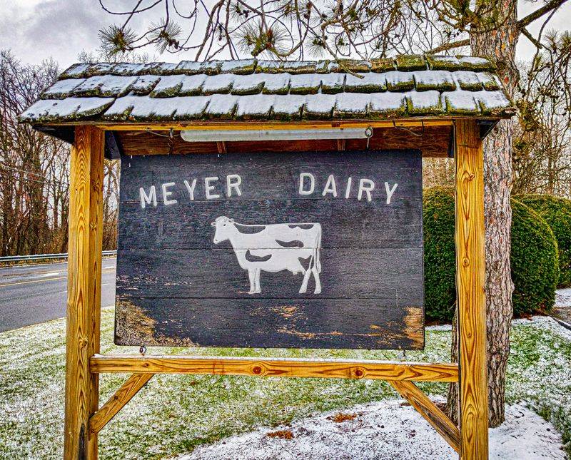 Meyer Dairy