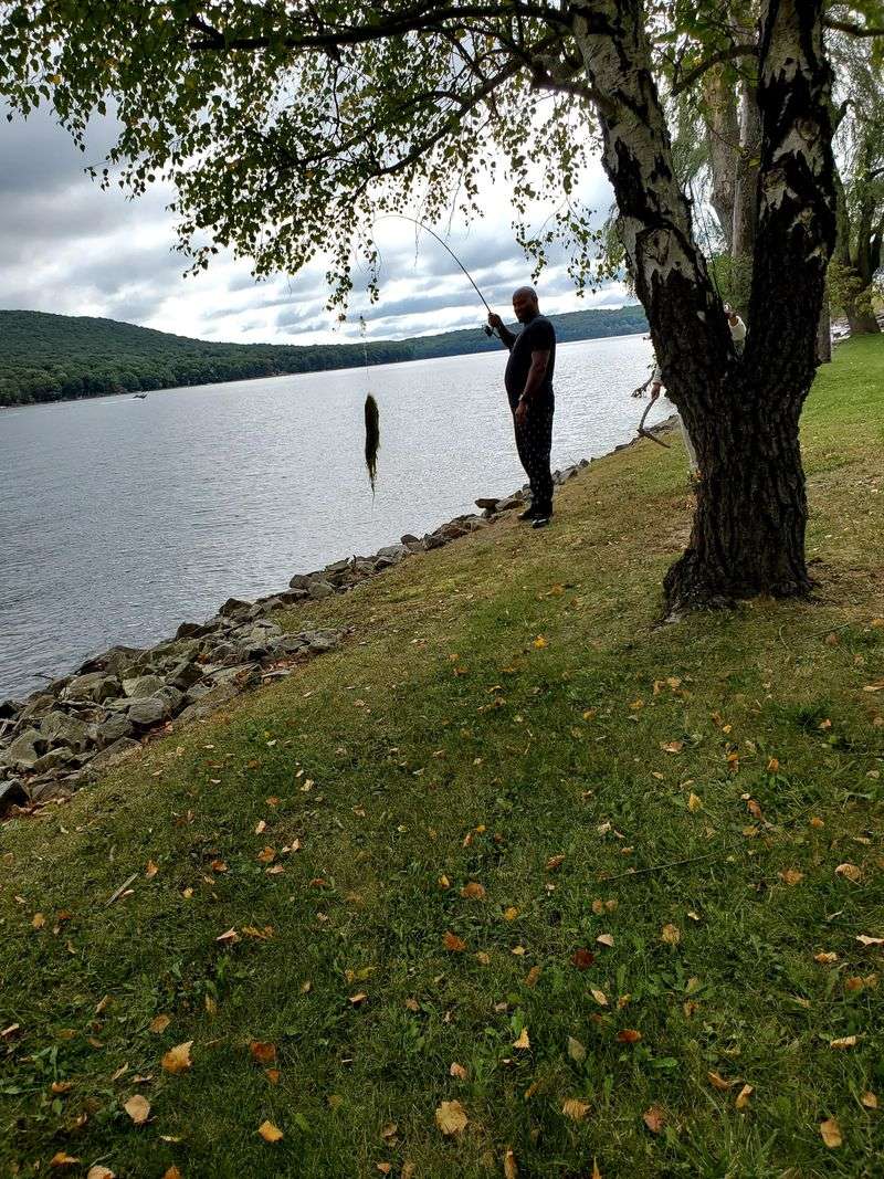 The Secret Maryland Lake Locals Try To Keep Off Social Media - Decor Hint Home To An Incredible Variety Of Fish Species