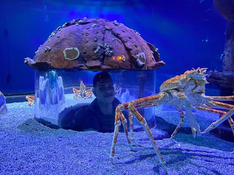  Wonders Of Wildlife National Museum And Aquarium 