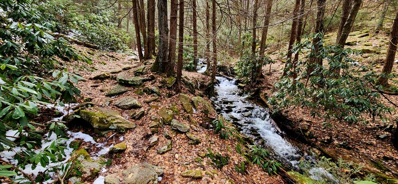 The Secret Pennsylvania Waterfall Trail Locals Try To Keep Quiet - Decor Hint Hemlock Forests Dominate The Valley Ecosystem