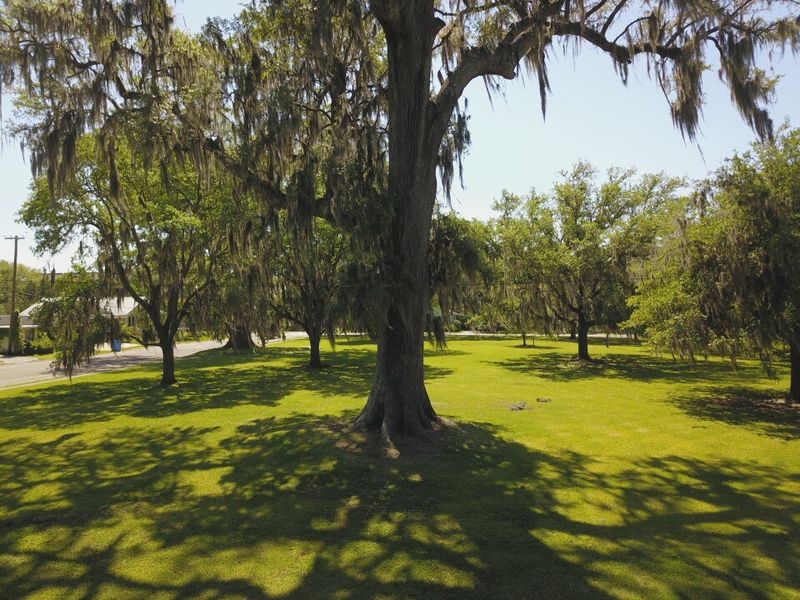 The Mysterious Louisiana Swamp Road Locals Say You Should Avoid After Dark - Decor Hint Shadows-On-The-Teche Plantation's Ghostly Residents