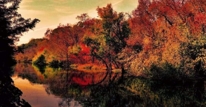 The Mysterious Louisiana Swamp Road Locals Say You Should Avoid After Dark