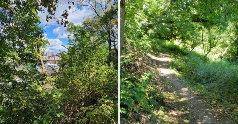 This Pennsylvania Forest Trail Looks Like It Belongs In A Fairy Tale