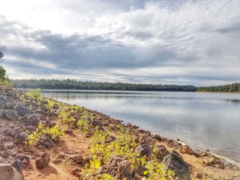 The Arizona Mountain Town So Affordable Retirees Are Quietly Flocking There - Decor Hint Apache-Sitgreaves National Forests Surround The Town