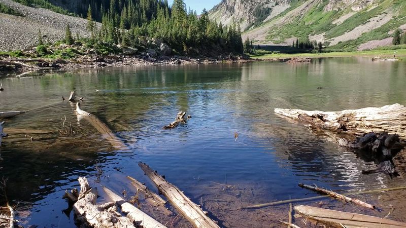 Top 2026 Destinations From Florida Beaches To Colorado Mountain Towns - Decor Hint Aspen, Colorado