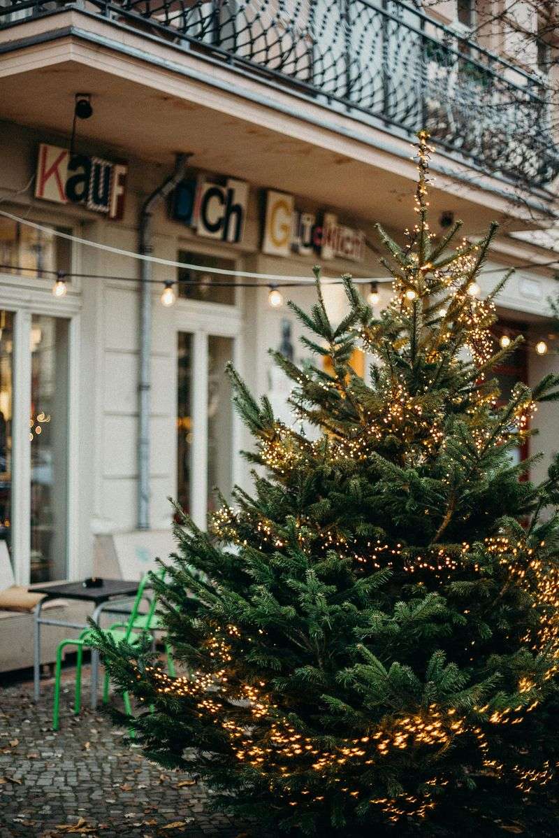 19 New York Winter Porch Décor Ideas Perfect For City Brownstones And Upstate Homes - Decor Hint Mini Christmas Trees in Matching Planters