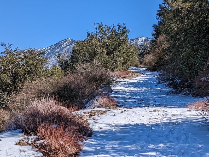 Stunning Winter Scenes You'll Catch Aboard The Western Maryland Scenic Railroad - Decor Hint Sunset Over Snow-Covered Peaks