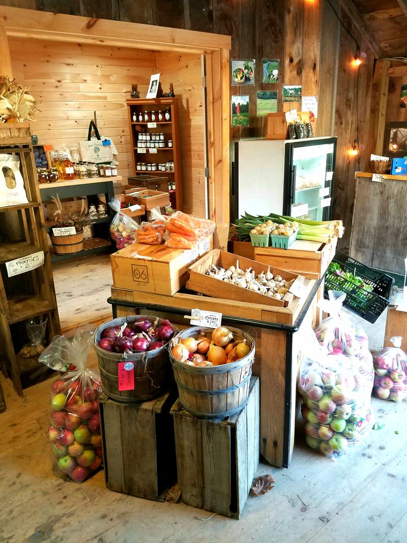 10 Maine Cider-Donut Stands That Make Winter Worth The Trip - Decor Hint Willow Pond Farm