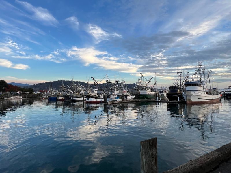 Exploring Bellingham: Where Pacific Northwest Life Comes Together - Decor Hint Bellingham SeaFest