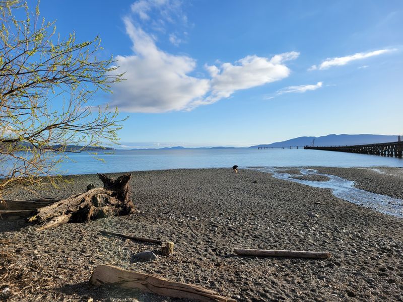 Exploring Bellingham: Where Pacific Northwest Life Comes Together - Decor Hint Little Squalicum Park