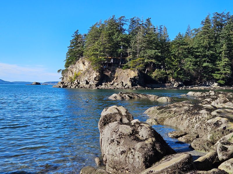Exploring Bellingham: Where Pacific Northwest Life Comes Together - Decor Hint Larrabee State Park