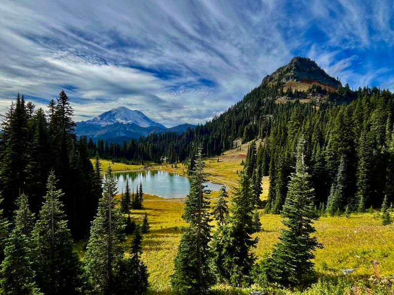 Mount Rainier National Park