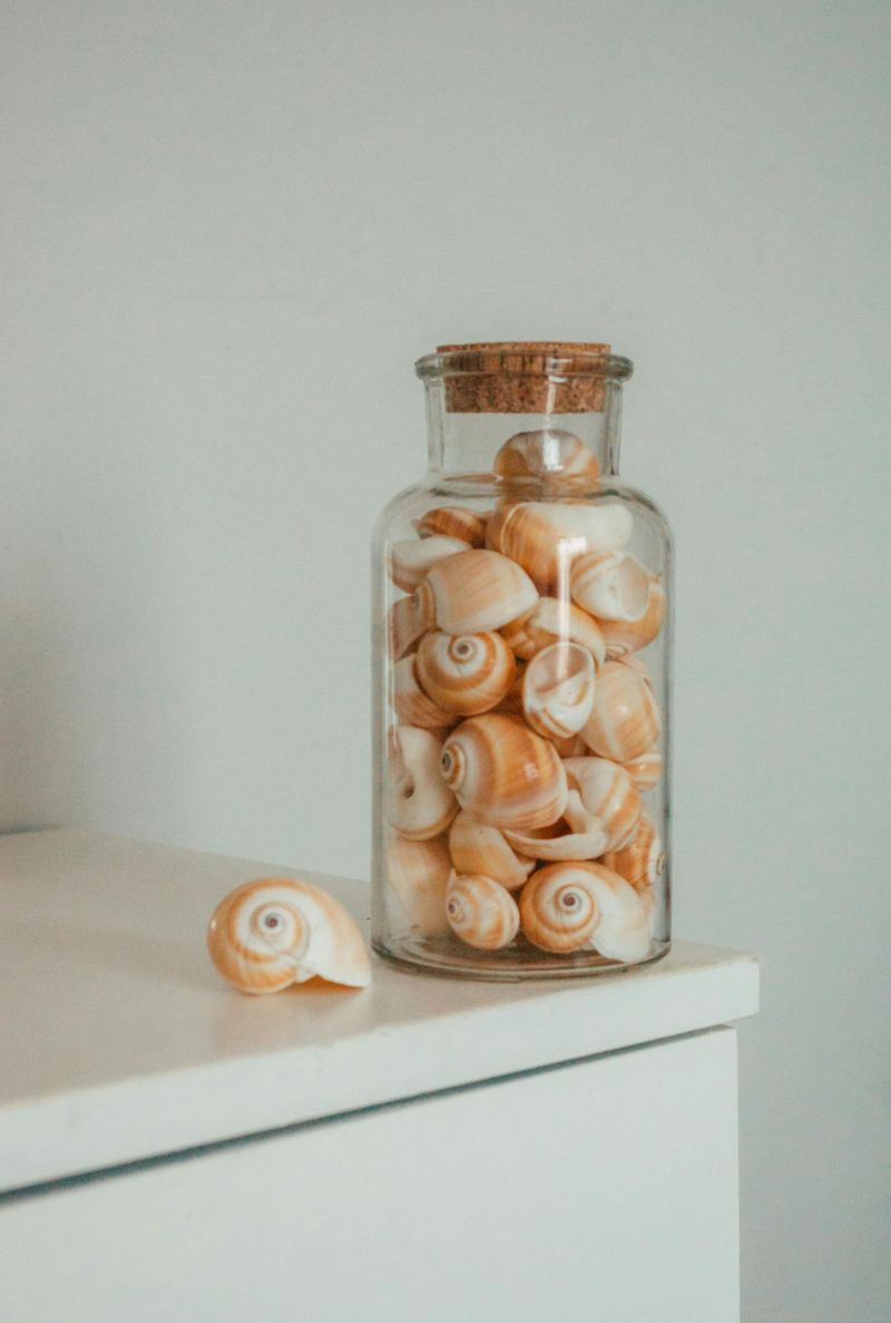 Shell Collections Become Personalized Winter Décor Displays