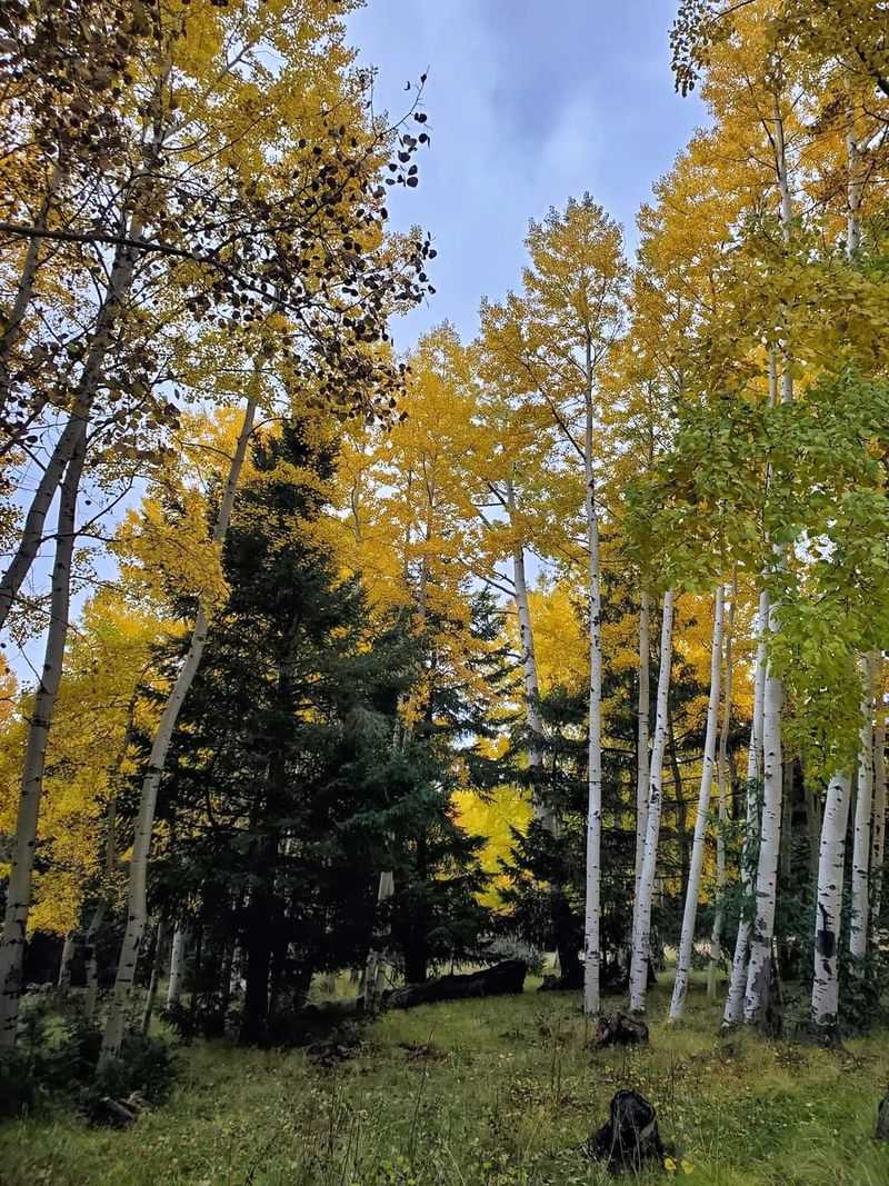 Arizona's Peaceful Mountain Escape Where Locals Go To Unwind - Decor Hint Photography Paradise In Every Season