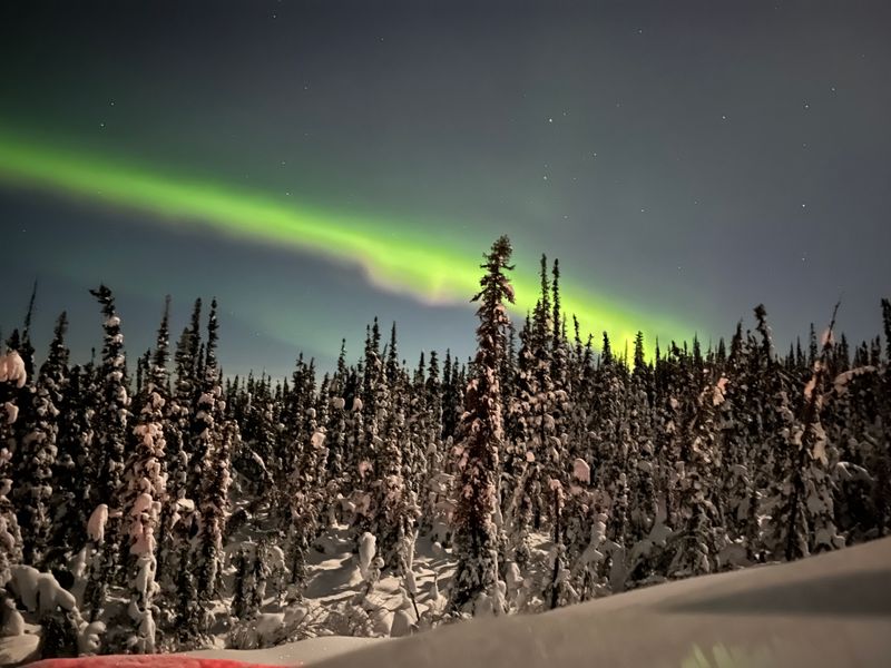 Chase The Northern Lights On The Scenic Aurora Winter Train Ride Through Alaska's Wilderness - Decor Hint Northern Lights Dance Across Evening Skies