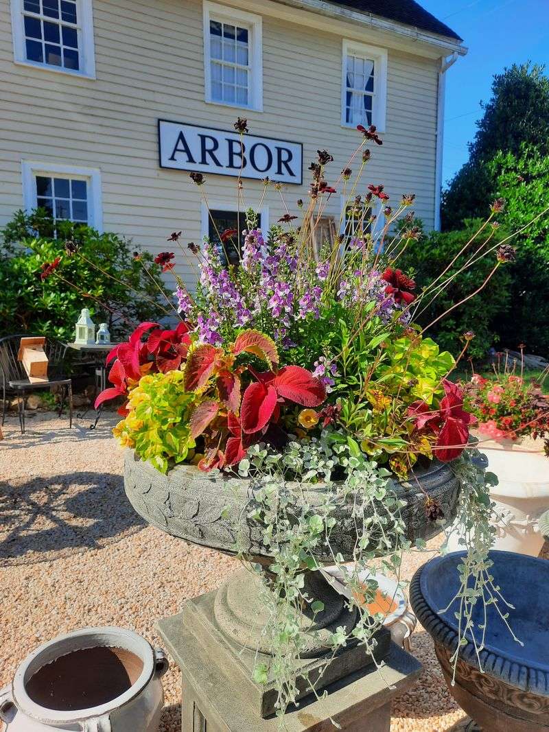 21 Texas Vintage And Collectibles Markets Where Rare Finds Are Flying Off The Shelves - Decor Hint Arbor Antiques