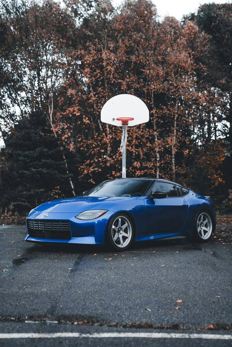 Basketball Hoops In Driveways