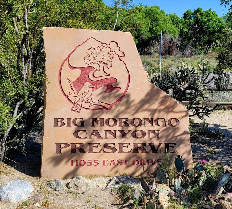 Big Morongo Canyon Boardwalk Trail