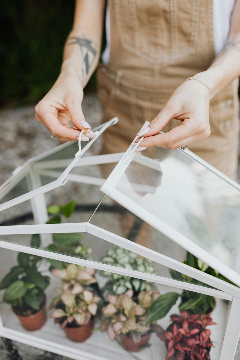 Create Mini Indoor Greenhouses with Glass Cloches