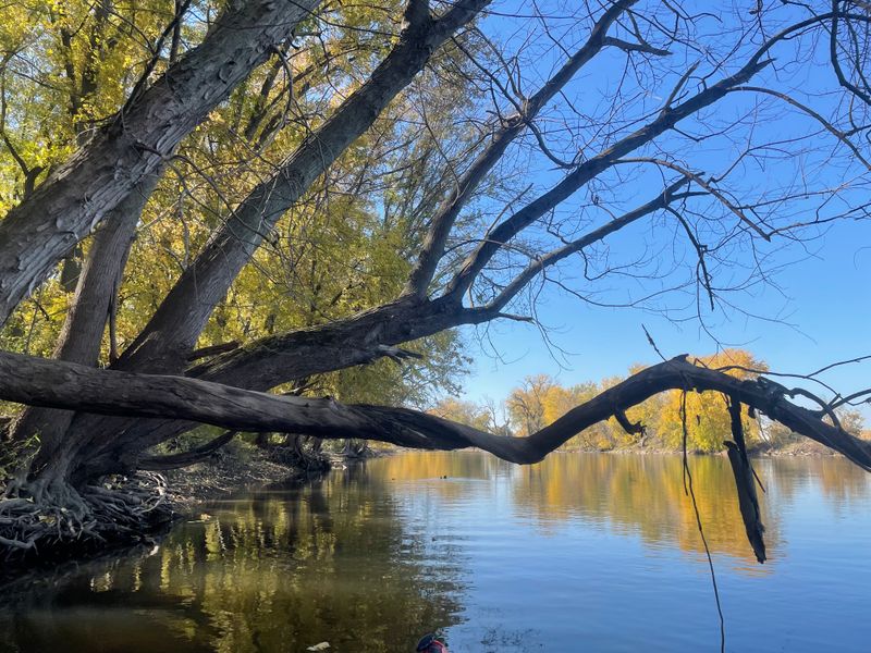 Hollandale Is Madison's Most Overlooked Countryside Gem Here Are 12 Things Worth Seeing - Decor Hint Pecatonica River