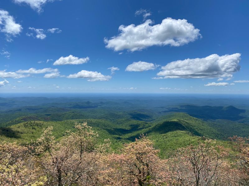 17 Georgia Overlooks Offering Stunning Views Locals Can't Get Enough Of - Decor Hint Rabun Bald Observation Tower