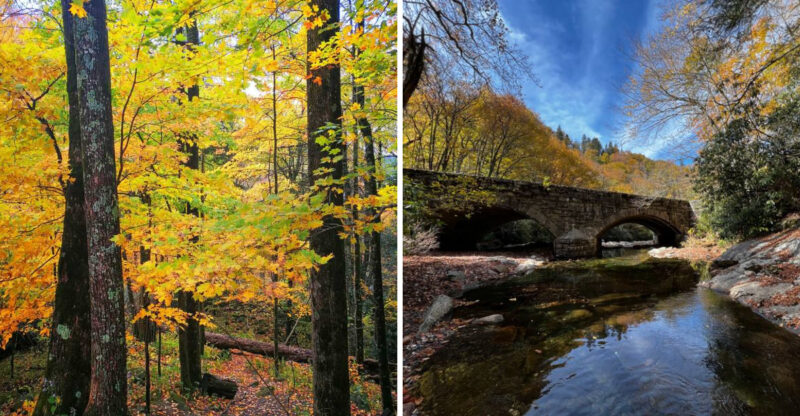 10 Reasons The Smoky Mountains, North Carolina, Quietly Outshine The Rockies