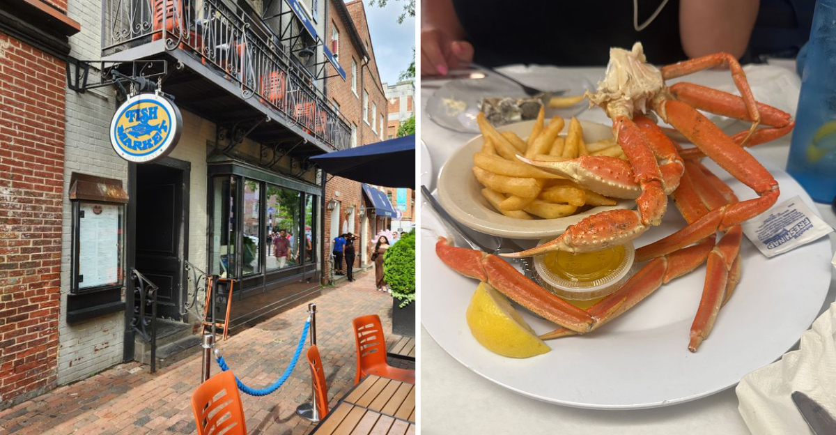 10 Spots Where Virginia Serves Fried Catfish That Feels Like Home - Decor Hint