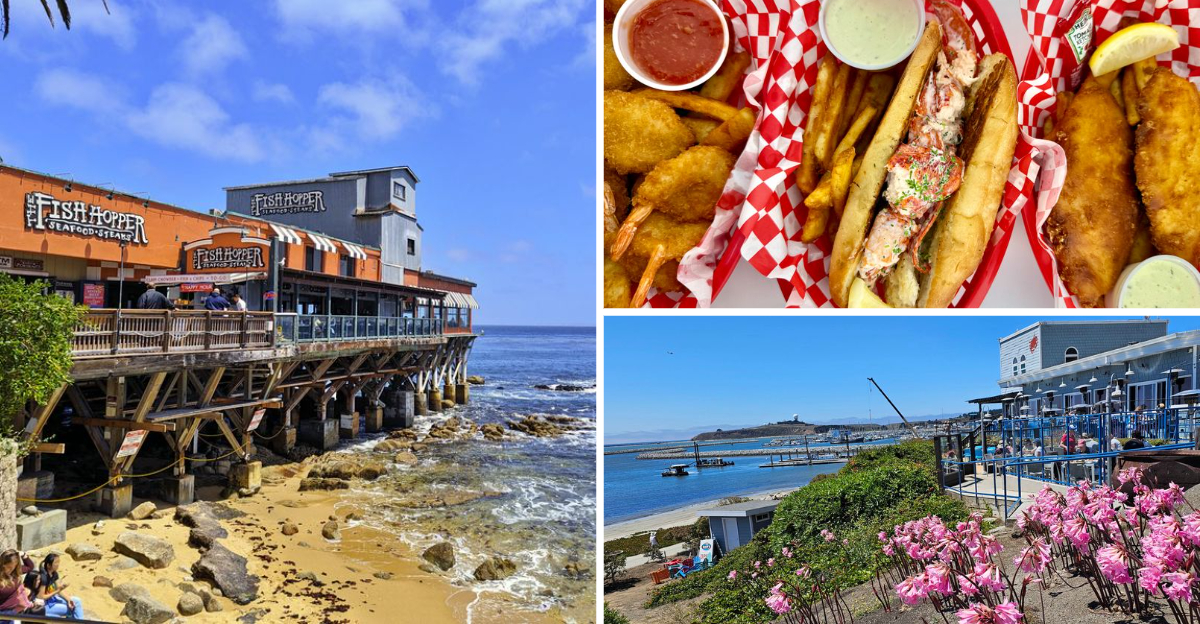 12 Fried Fish Joints In California That Out Of Towners Should Know - Decor Hint