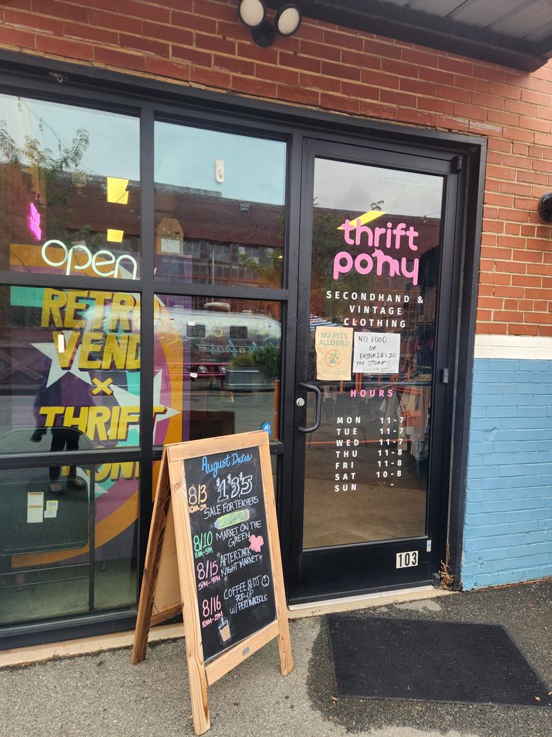 12 Must-Visit Thrift Stores In Charlotte, North Carolina, For Bargain Hunters - Decor Hint Thrift Pony