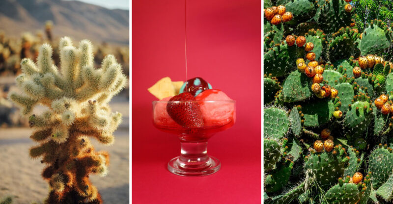 12 Once-Beloved Arizona Foods Locals Say Are Nearly Impossible To Find Now