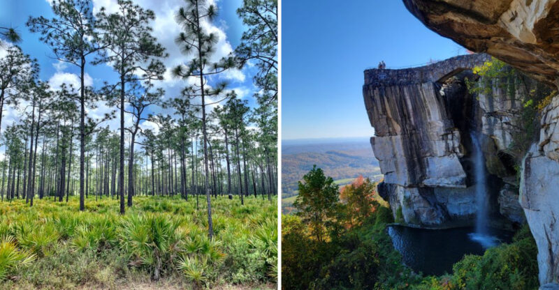 12 Unforgettable Georgia Day Trips, One For Each Month Of The Year