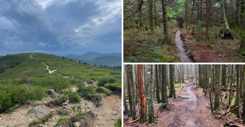 13 Bucket List Hikes In North Carolina, Ranked From Breezy To Bold