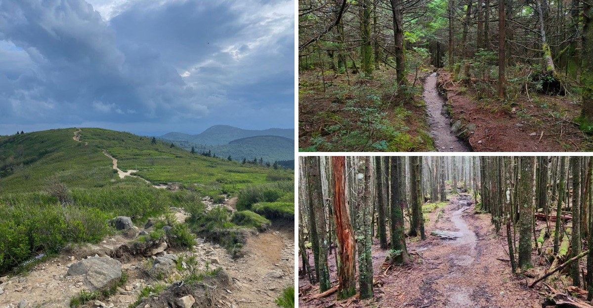 13 Bucket List Hikes In North Carolina Ranked From Breezy To Bold - Decor Hint