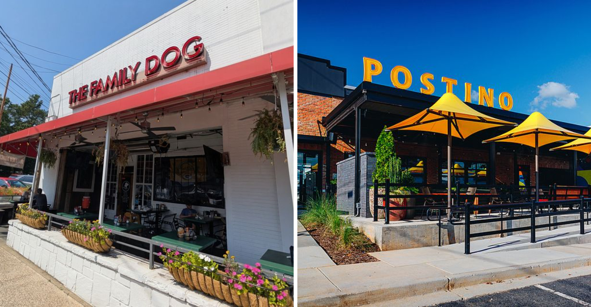 13 Pet Friendly Restaurants In Atlanta Perfect For You And Your Pup - Decor Hint