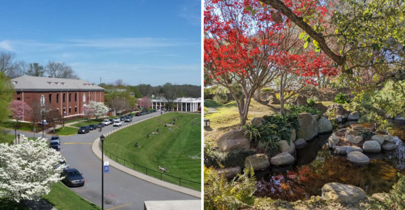 13 Reasons Dahlonega, Georgia Is One Of The Best Small Towns To Visit In America