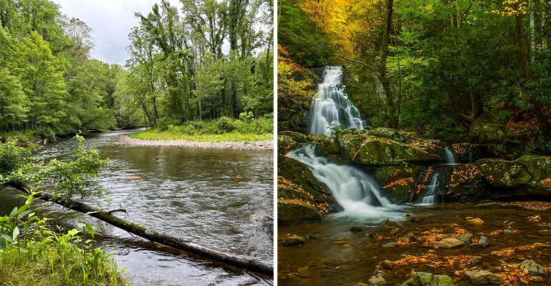 13 Rookie Mistakes To Dodge In North Carolina’s Smokies