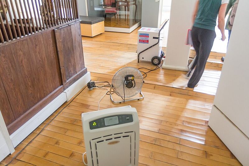 Install Dehumidifiers