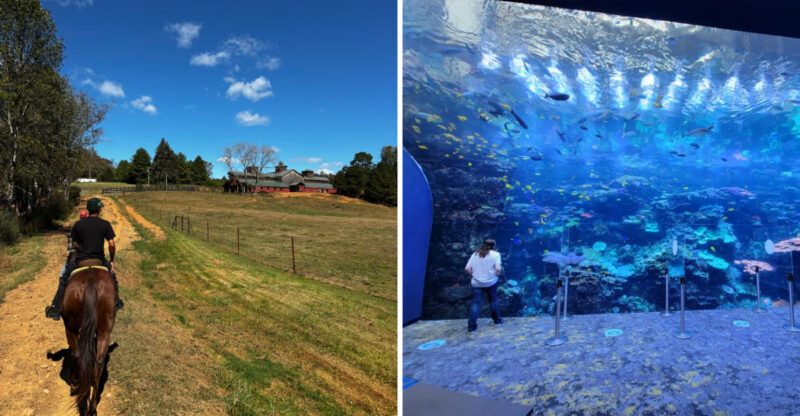 14 Georgia Experiences That Would Make The Perfect Present