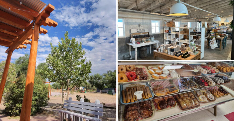 14 New Mexico Cider-Donut Stands Locals Love For That Fresh-Baked Crunch