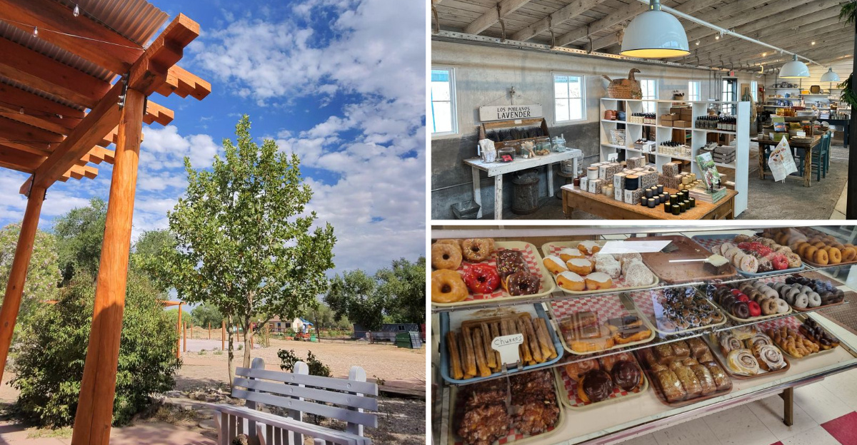 14 New Mexico Cider Donut Stands Locals Love For That Fresh Baked Crunch - Decor Hint