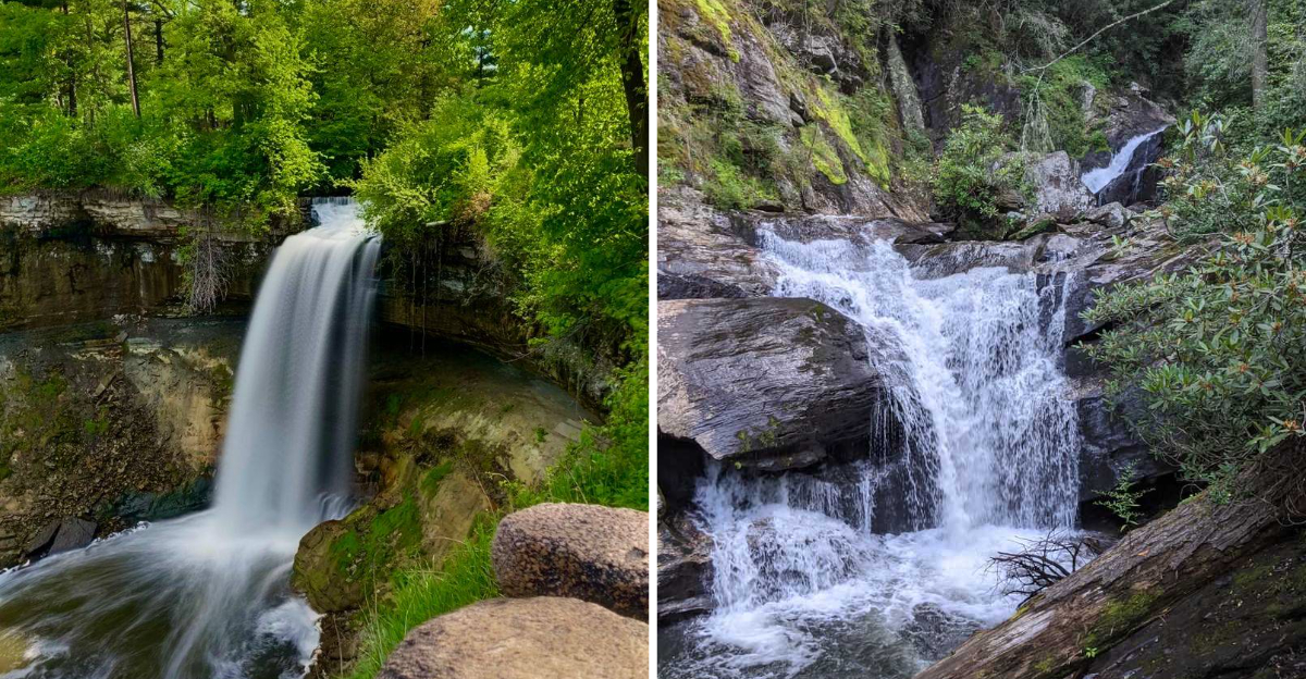 15 Amazingly Dreamy Swimming Holes In North Georgia Waterfalls Too - Decor Hint