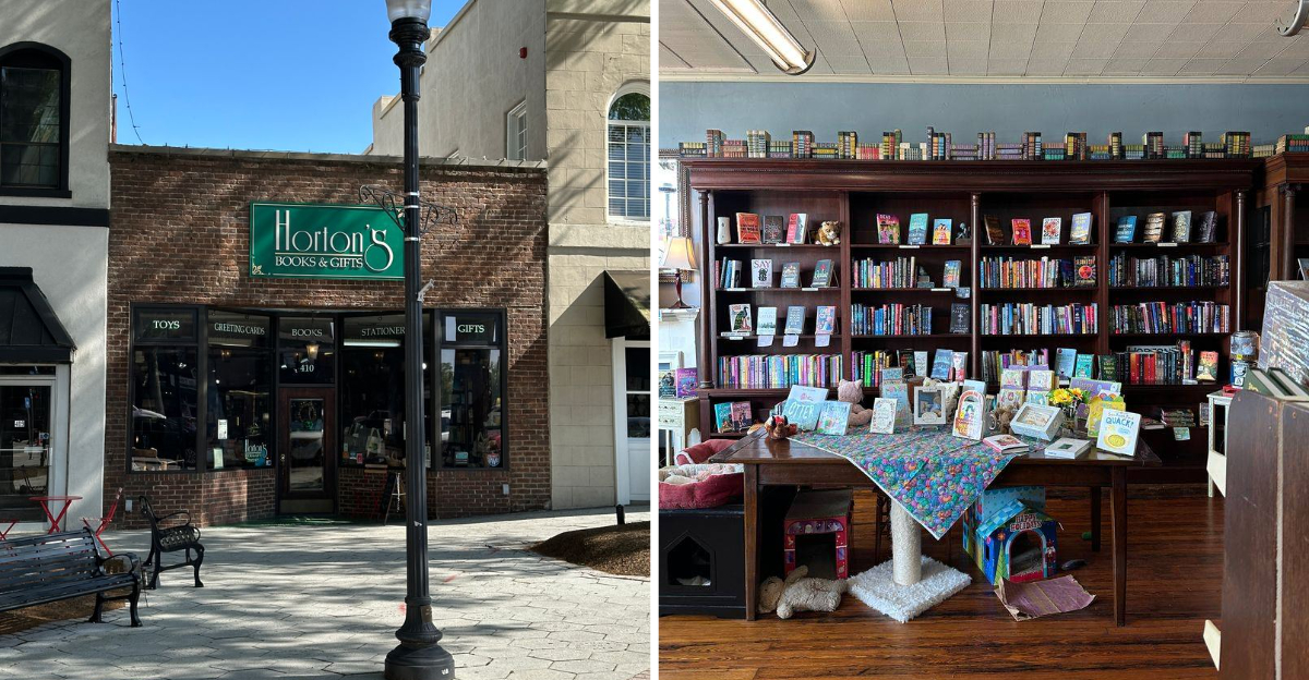 15 Fascinating Things About Hortons Books Gifts Georgias Oldest Bookstore - Decor Hint