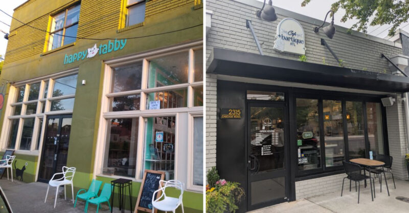 15 Feel-Good Cafés Across Georgia Where Cozy Vibes And Kittens Steal The Show