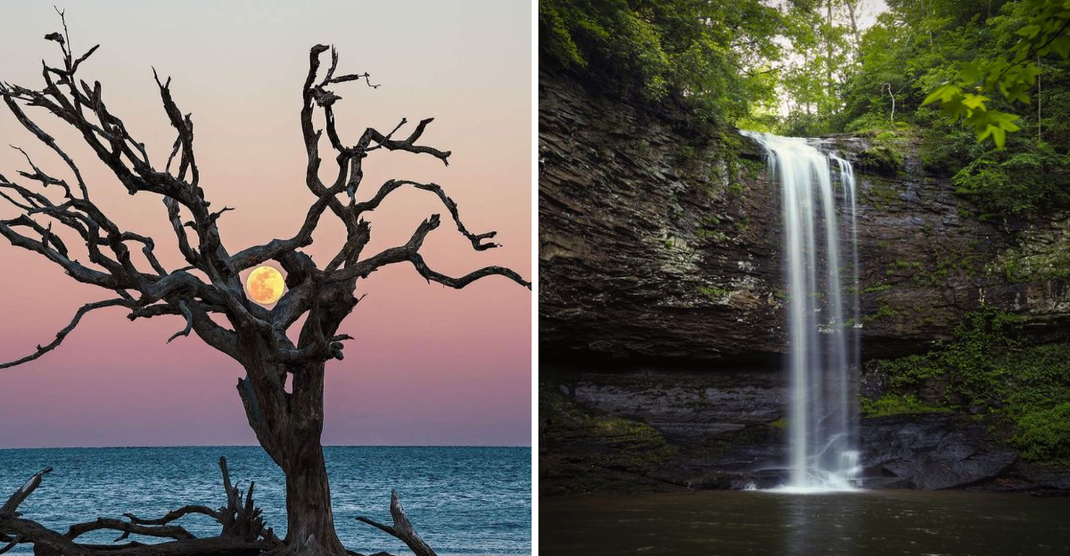 15 Georgia USA Getaways Locals Prefer During The Off Season - Decor Hint