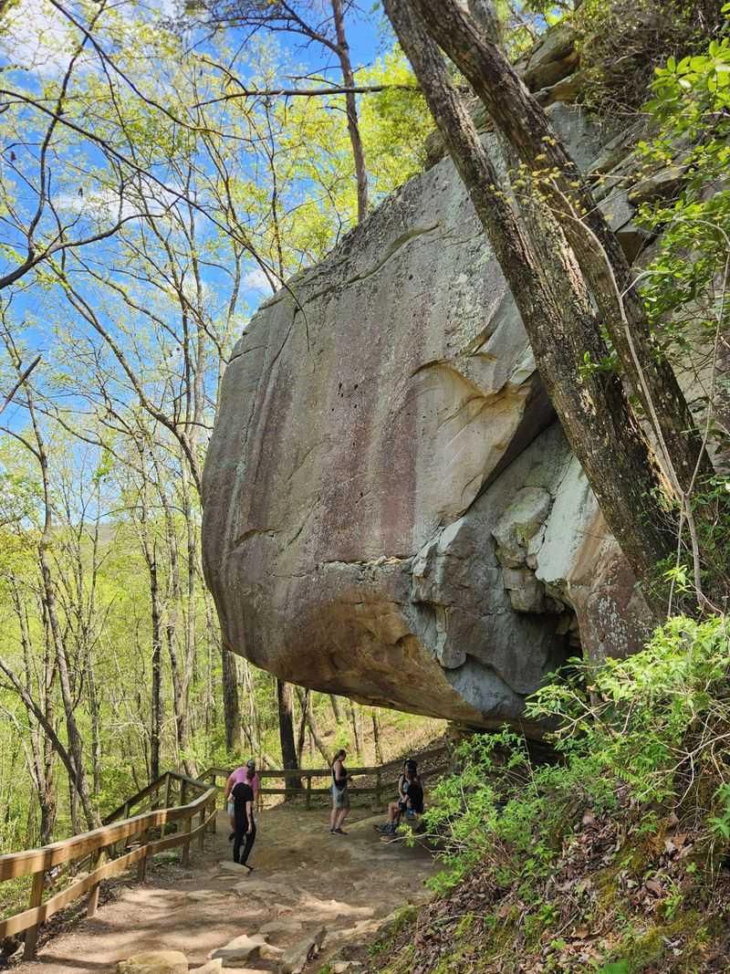 Cloudland Canyon State Park Backcountry Sites