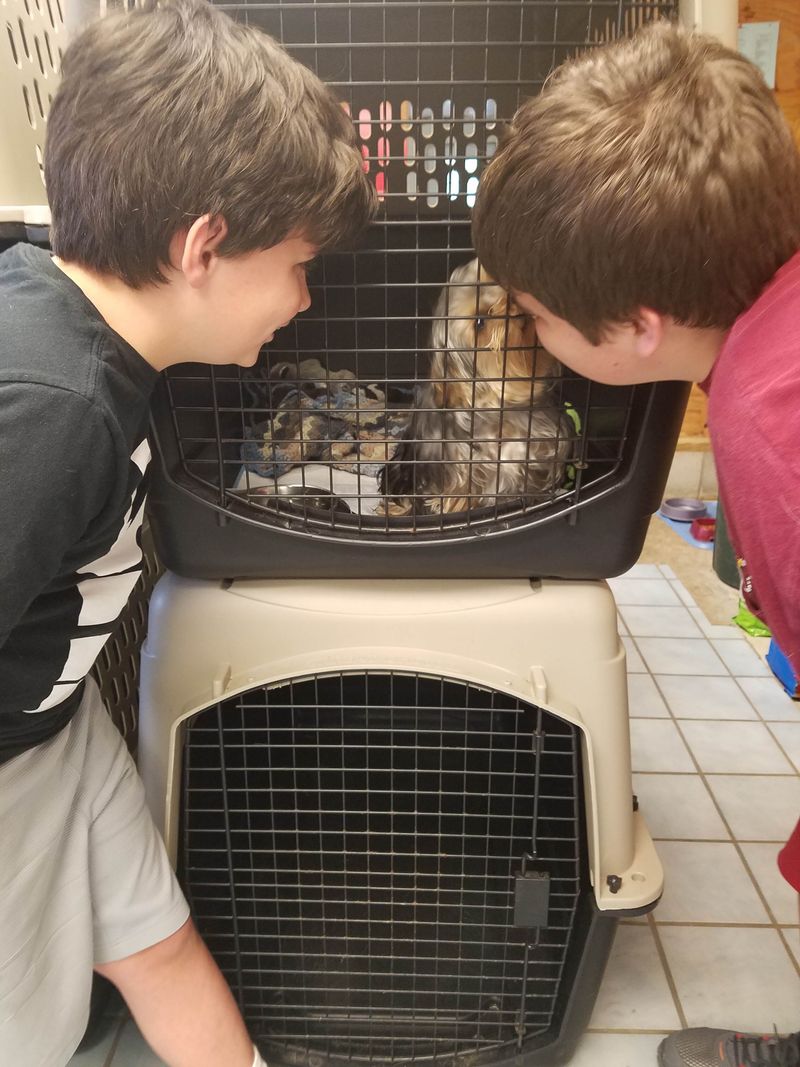 15 Maryland Hot Dog Joints Where Chesapeake Flavor Shines - Decor Hint The Dog House