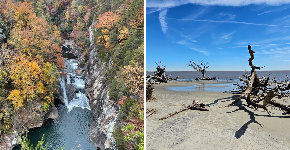 16 Rainy Season Road Trips Through Georgia Worth Taking Anyway - Decor Hint