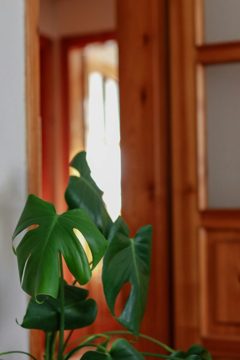 Biophilic Design Integration